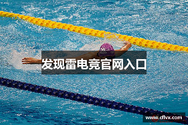 发现雷电竞官网入口